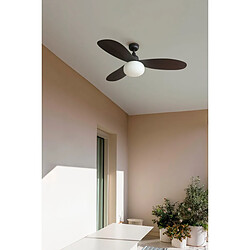 Faro Barcelona Ventilateur de plafond moyen de C.C de Brown IP44 avec la vitesse de la lumière E27 6