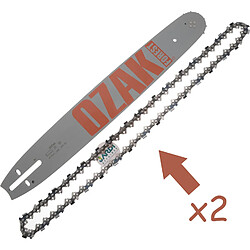 Guide avec 2 chaines 40cm Pas 325 Jauge 1,5mm Correspondance Oregon 168PXBK041