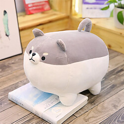 Universal 15,75 pouces remplis d'animaux de dessin animé Shiba Inu peluche animé Shiji Mei peluche chien oreiller souple, cadeau peluche garçon fille cadeau | oreiller peluche (marron)