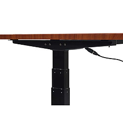 Acheter Decoshop26 Bureau table d'ordinateur réglable en hauteur électriquement 160 x 80 cm HDF noir acier noir 04_0006044