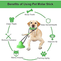 Jouet à Mâcher Molaire pour Animaux de Compagnie Jouet Multifonction pour Morsure Molaire pour Animaux de Compagnie Jouet à Mâcher pour Chien