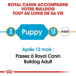 Acheter Royal Canin Race Bulldog Junior