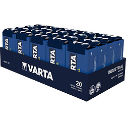 Piles Varta INDUSTRIAL PRO