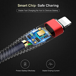 Acheter Wewoo Câble rouge pour iPhone X / 8 et 8 Plus / 7 7 Plus / 6 6s / 6 Plus 6s Plus 2m 2A USB à Lightning 8 broches tissu + alliage d'aluminium Data Cable de synchronisation de synchronisation,