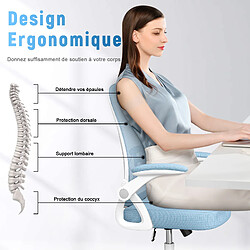 Avis BIGZZIA Chaise de Bureau Ergonomique Siège - Fauteuil avec 2D Accoudoirs - Support lombaire - Réglable en hauteur Bleu