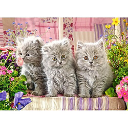 Castorland Puzzle 300 pièces : trois petits chatons gris