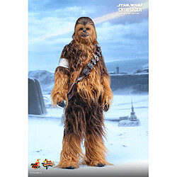 Acheter Hot Toys MMS375 - Star Wars : The Force Awakens - Chewbacca