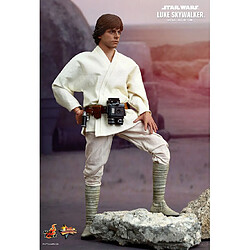 Avis Hot Toys MMS297 - Star Wars 4 : A New Hope - Luke Skywalker Standard Version