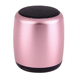 Yonis Mini Enceinte Bluetooth TWS Appel Main-Libre Télécommande Selfie