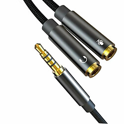 Avis Adaptateur de câble auxiliaire XO NB-R197 2x 3,5 mm femelle (audio et microphone) vers 3,5 mm mâle 20 cm