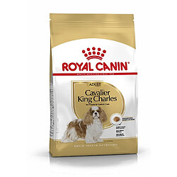 Royal Canin Race Cavalier King Charles Adult pas cher