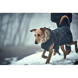 Avis Hunter Uppsala Softshell Manteau pour Chien, 35 cm, Noir