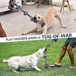 Acheter Jouets en corde pour chiens grands et forts, jouet à mâcher de chien durable 5 nœuds de corde pour une mastication agressive, presque indestructible - pour les grandes races et les grands chiens