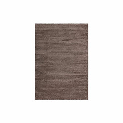 Paris Prix Tapis Tissé Déco Saint Lucia Marron 120 x 170 cm