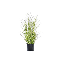 Plante décorative DKD Home Decor Vert PVC PE (20 x 20 x 60 cm)