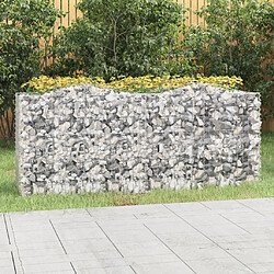 Maison Chic Jardinière,Lit surélevé - Bac à fleurs - pot de fleur à gabions arqué 200x50x100 cm Fer galvanisé -GKD97569