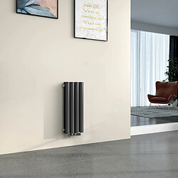 EMKE Radiateur à Eau Chaude, Radiateur Ovale Connexion Centrale, Montage Mural Vertical Design, Anthracite 60x24cm 248W Double Couche