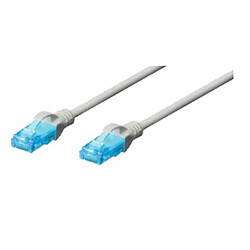 Câble Ethernet LAN Ewent IM1146 Gris 1 m