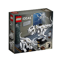 LEGO Ideas 21320 - Les fossiles de dinosaures