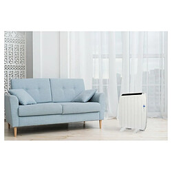 Radiateur électrique Compact-6 - Emetteur thermique sec 6 éléments 900W - HAVERLAND