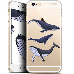 Caseink Coque arrière Apple iPhone 6/6s (4.7 ) Gel HD [ Nouvelle Collection - Souple - Antichoc - Imprimé en France] Les 3 Baleines