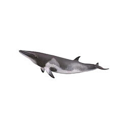 Figurines Collecta Figurine Baleine