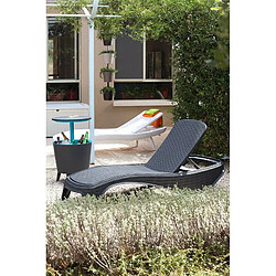 Bain de soleil Atlantic KETER Résine Effet Rotin Gris anthracite Chaise longue dossier 5 positions pas cher