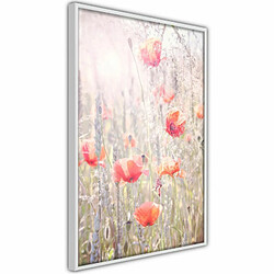 Paris Prix Affiche Murale Encadrée Poppies 20 x 30 cm Blanc