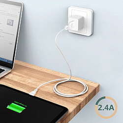 Acheter BIGBEN Câble synchro et charge Lightning Apple blanc 2.4A 1.2m Just green