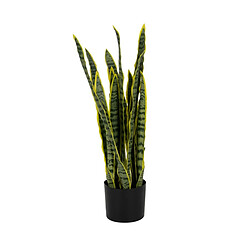 BigBuy Home Plante décorative Caoutchouc polypropylène 20 x 20 x 80 cm