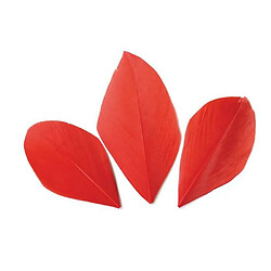 Graines Creatives 50 plumes coupées - Rouge 6 cm