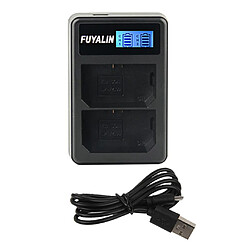 FZ100 LCD chargeur double