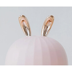 YP Select Mini-humidificateur USB monté sur véhicule en forme de dessin animé - Lapin rose