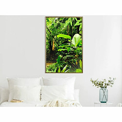 Paris Prix Affiche Murale Encadrée In the Rainforest 40 x 60 cm Or