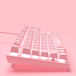 Avis Fille mignon rose muet Office Notebook Clavier 87 touches 2 en 1