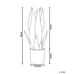 Avis Beliani Plante artificielle SNAKE PLANT Vert