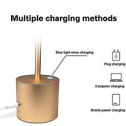 Avis Universal Lampe de nuit, éclairage d'ambiance, lampe LED sans fil, USB portable, recharge, or.