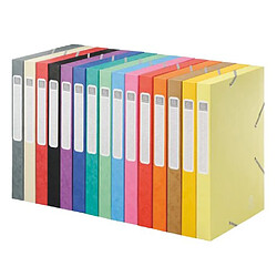 Chemise box Cartobox Exacompta 24 x 32 cm dos 2,5 cm - couleurs assorties - Lot de 25