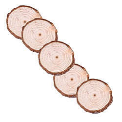 5pcs Tranches De Bois Naturel Non Peintes Copeaux Disque De Journal Rond Pour Bricolage Artisanal 3-4cm