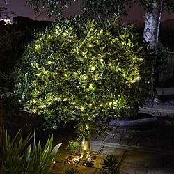 Smart Garden Guirlande solaire Luciole 200 leds.