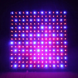 Avis Wewoo Lampe rouge et bleu 10W faible puissance 225 plantes hydroponiques LED élèvent la lumière, le flux lumineux: 380lm