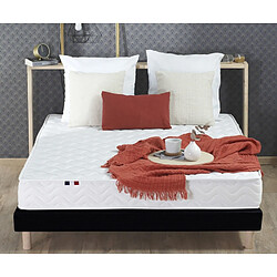 Idliterie Ensemble Matelas Ressorts Fermes biconiques SPECTRE + Sommier Made in France pas cher