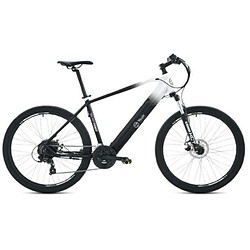 Vélo Électrique Youin BK3000 EVEREST 250 W 29" Noir Noir/Blanc 25 km/h (Reconditionné A) - Reconditionné