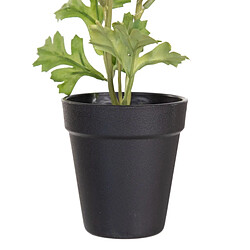 Avis BigBuy Home Plante décorative Polyester Polyéthylène Fer Fleur 9,5 x 9,5 x 29 cm