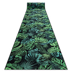 RUGSX TAPIS DE COULOIR antidérapant MONSTERA Feuilles la gomme vert 80 cm 80x1000 cm