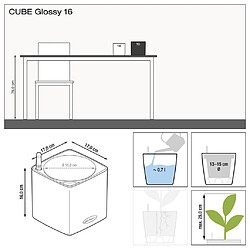 Acheter LECHUZA Jardinière de table CUBE Glossy 16 ALL-IN-ONE Charbon brillant