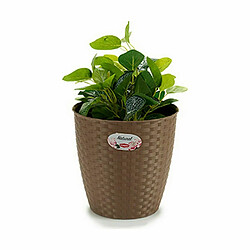 Avis Cache-pot Stefanplast Marron Plastique 24 x 22,5 x 24 cm (6 Unités)