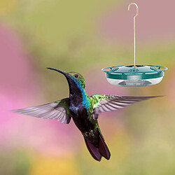 Acheter Mangeoire Extérieure Pour Colibris Mangeoire à Oiseaux En Plastique Avec 8 Stations D'alimentation Vert