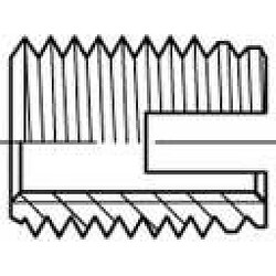 Insert taraudé 159827 50 pc(s) M3 6 mm