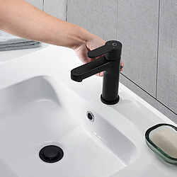 2PCS Cecipa max Robinet de Lavabo Noir, Robinet de Salle de Bain Avec Vidange Automatique, Mitigeur de lavabo pour Salle de Bain,EU Modèle pas cher